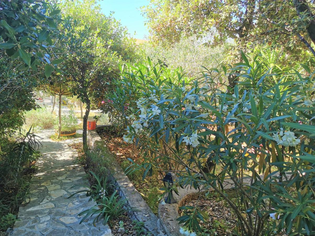 Lenka Apartments I Novalja Dış mekan fotoğraf
