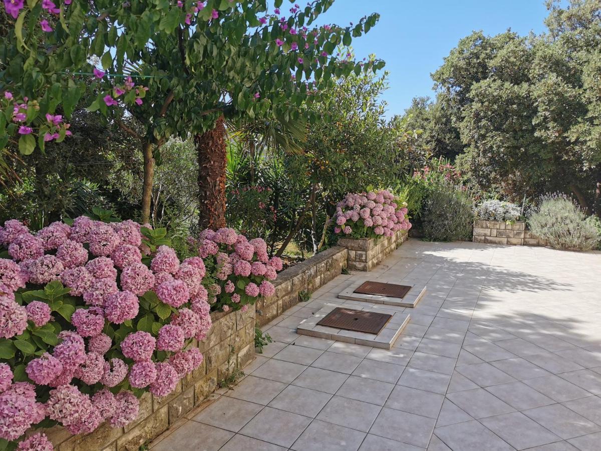 Lenka Apartments I Novalja Dış mekan fotoğraf